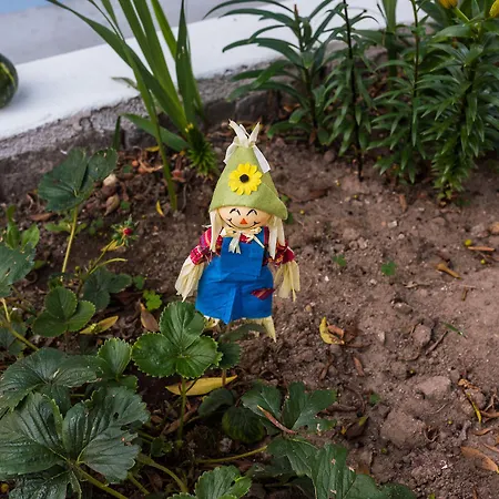 Island بيت للعطل