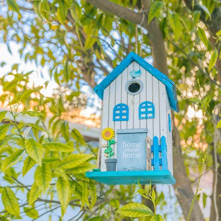 بيت للعطل Island *