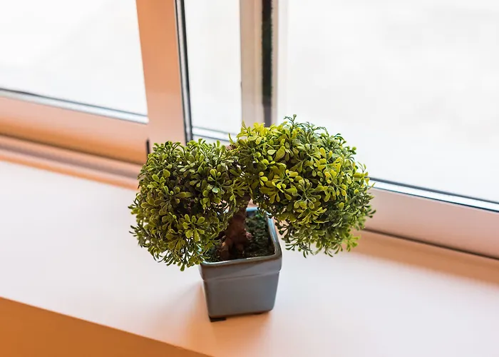 Island بيت للعطل بورتو