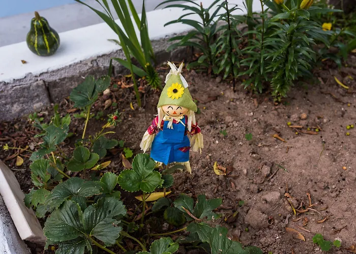 Island بيت للعطل