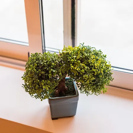 Island Holiday home Porto